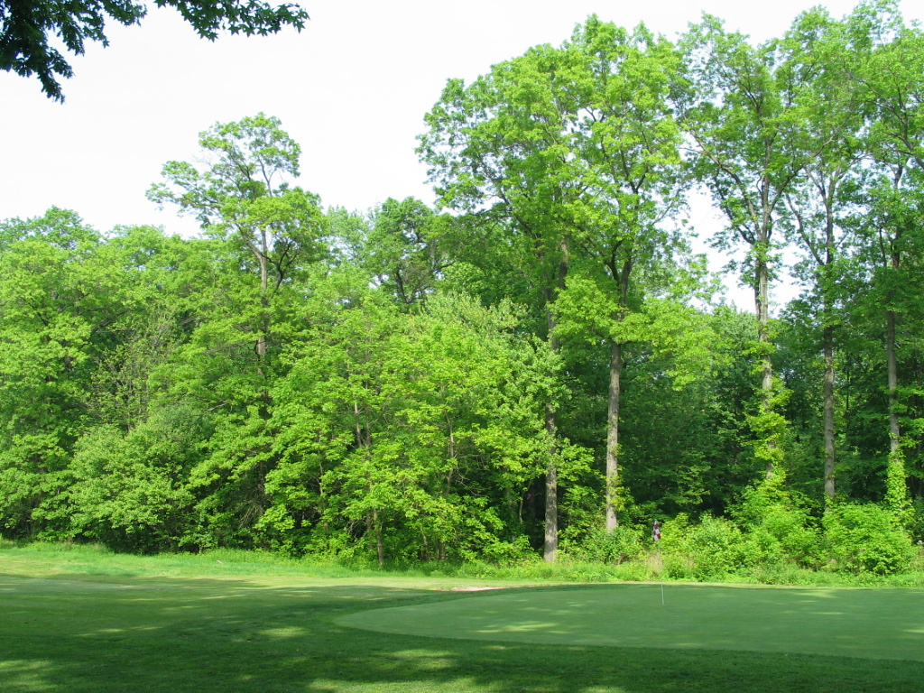 306-0629_IMG.JPG